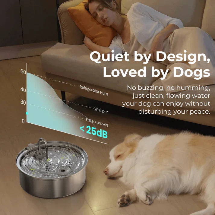 Health and Happiness Fountain Kit