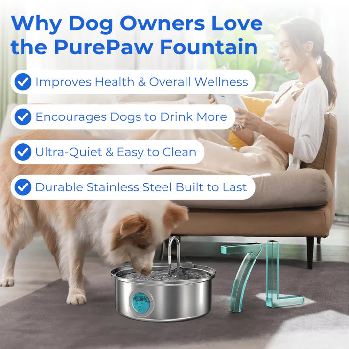 Health and Happiness Fountain Kit