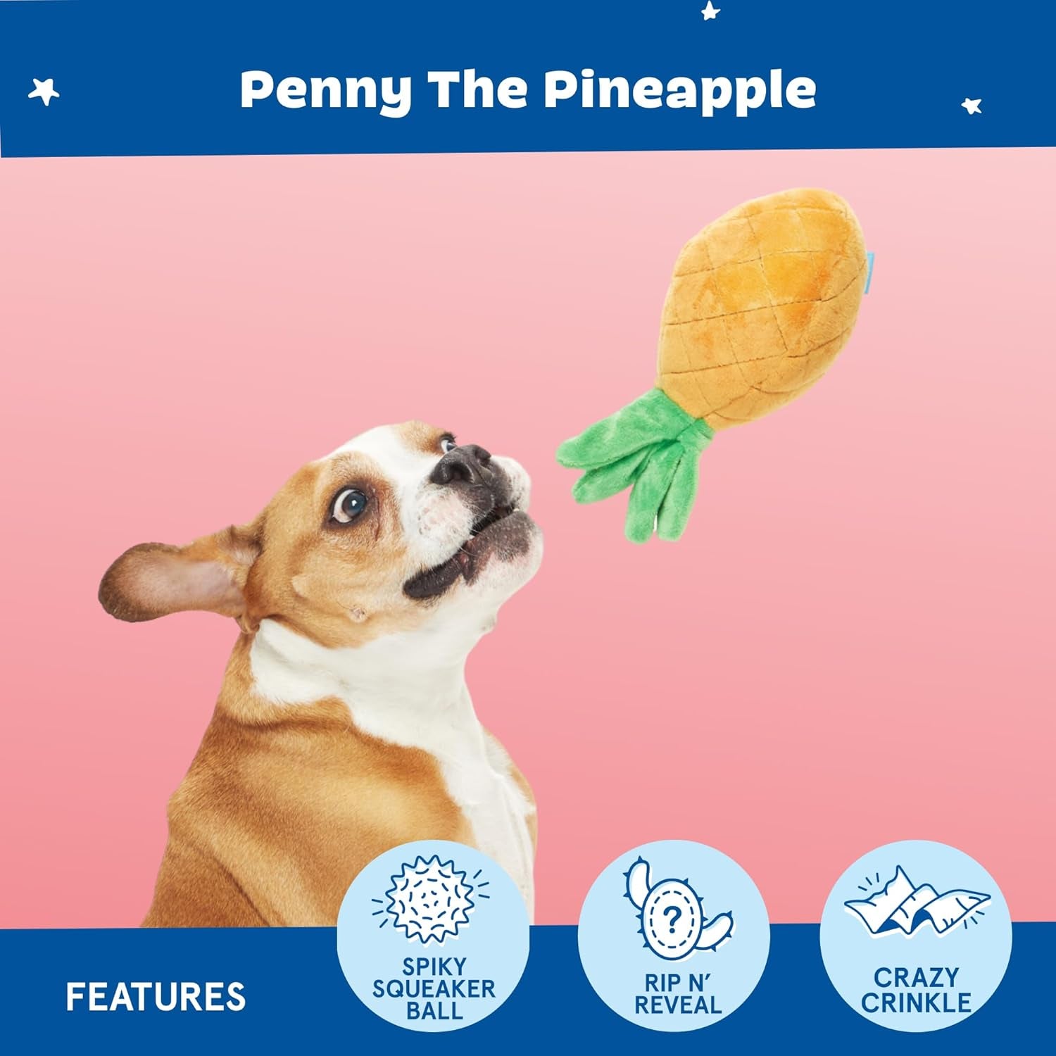 Dog Toy 2 in 1 Interactive, Plush Exterior with Squeaker & Crinkle Material, Tearable Dog Toy with Squeaky Spikey Ball Inside, Ideal for Toy Destroyers - Penny the Pineapple, Large