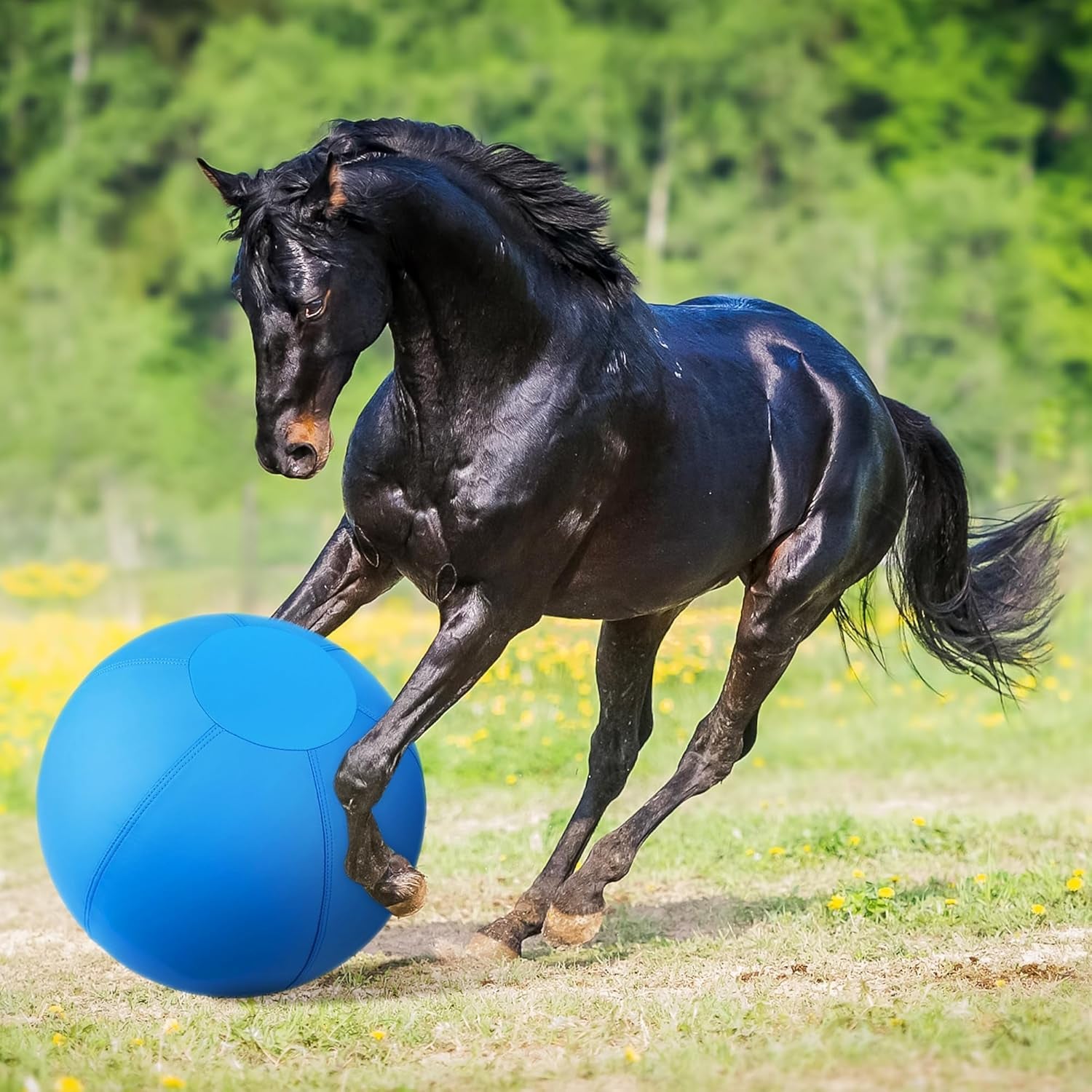 Herding Ball for Dogs and Horses - 18" Jolly Ball for Dogs, Agility Training Equipment, Herding for Australian/German Shepherd, Improved Bite-Resistant, Reinforced Sewing Dog Toys - Blue Medium