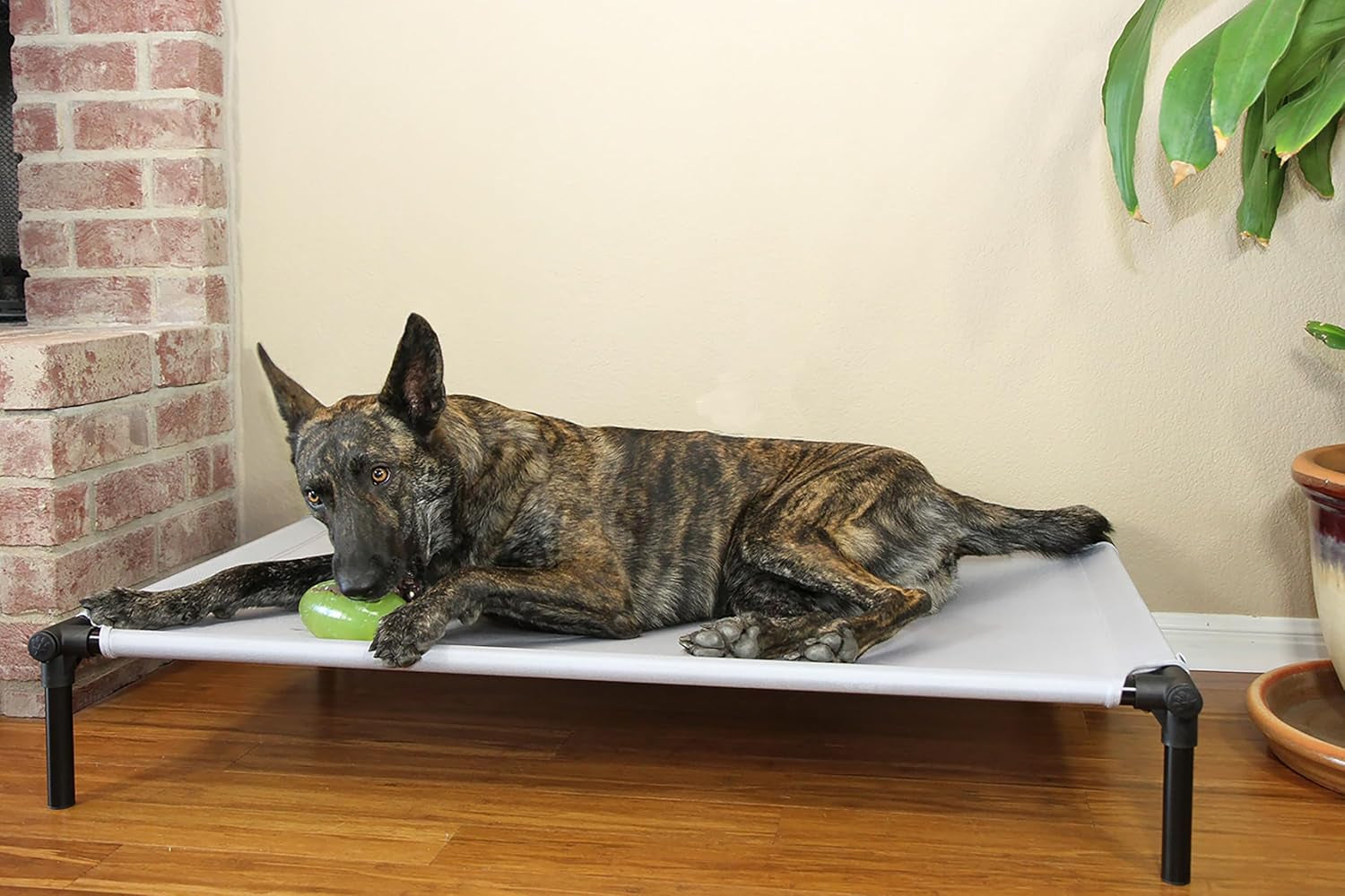 Dog Zone Bed X-Large Charcoal