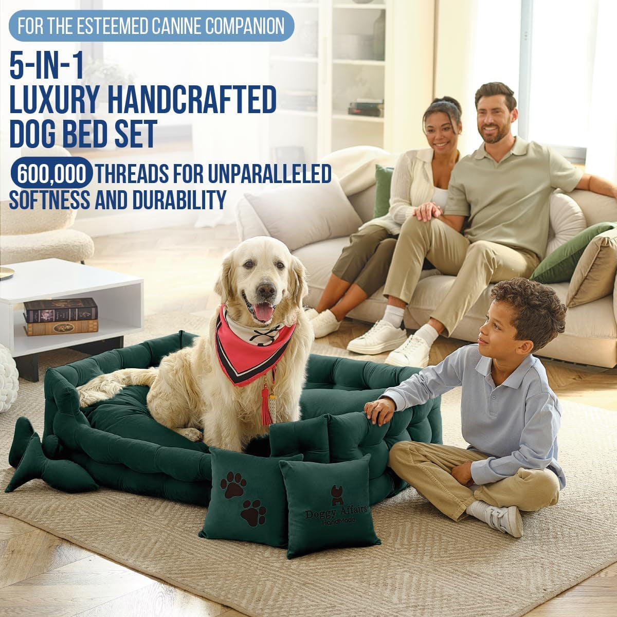 Luxury Handcrafted 5-In-1 Dog and Cat Bed Set | 3X More Durable Washable Elevated Puppy and Kitty Couch with 2 Cushions & 2 Toys – Super Soft Dutch Velvet, Size (44In-28In-12In)