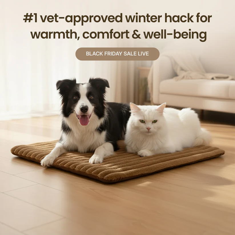 Self-heating pet mat