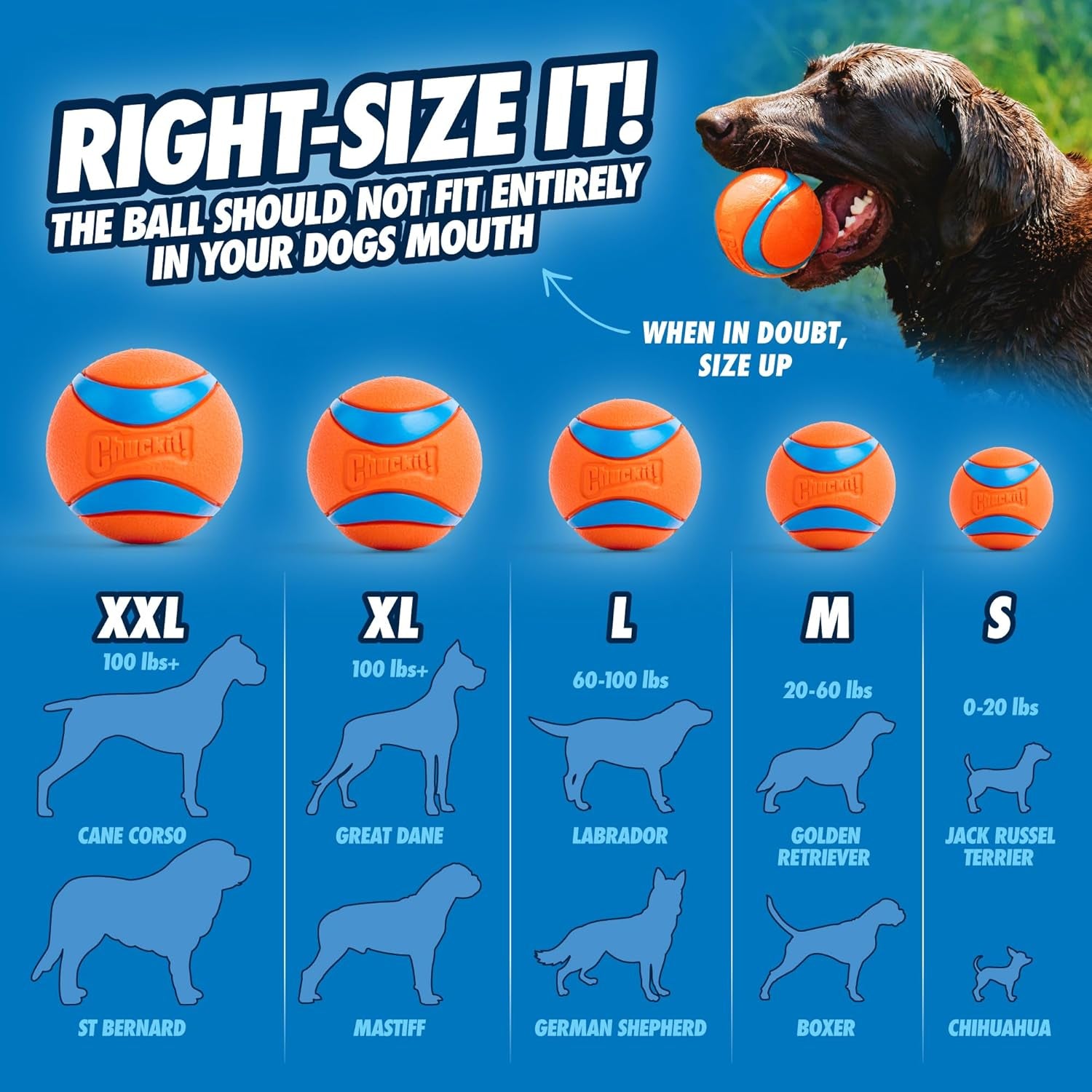 Ultra Ball Dog Toy, Balls for Dogs to Fetch, Durable Rubber, Small 2-Inch, Pack of 2