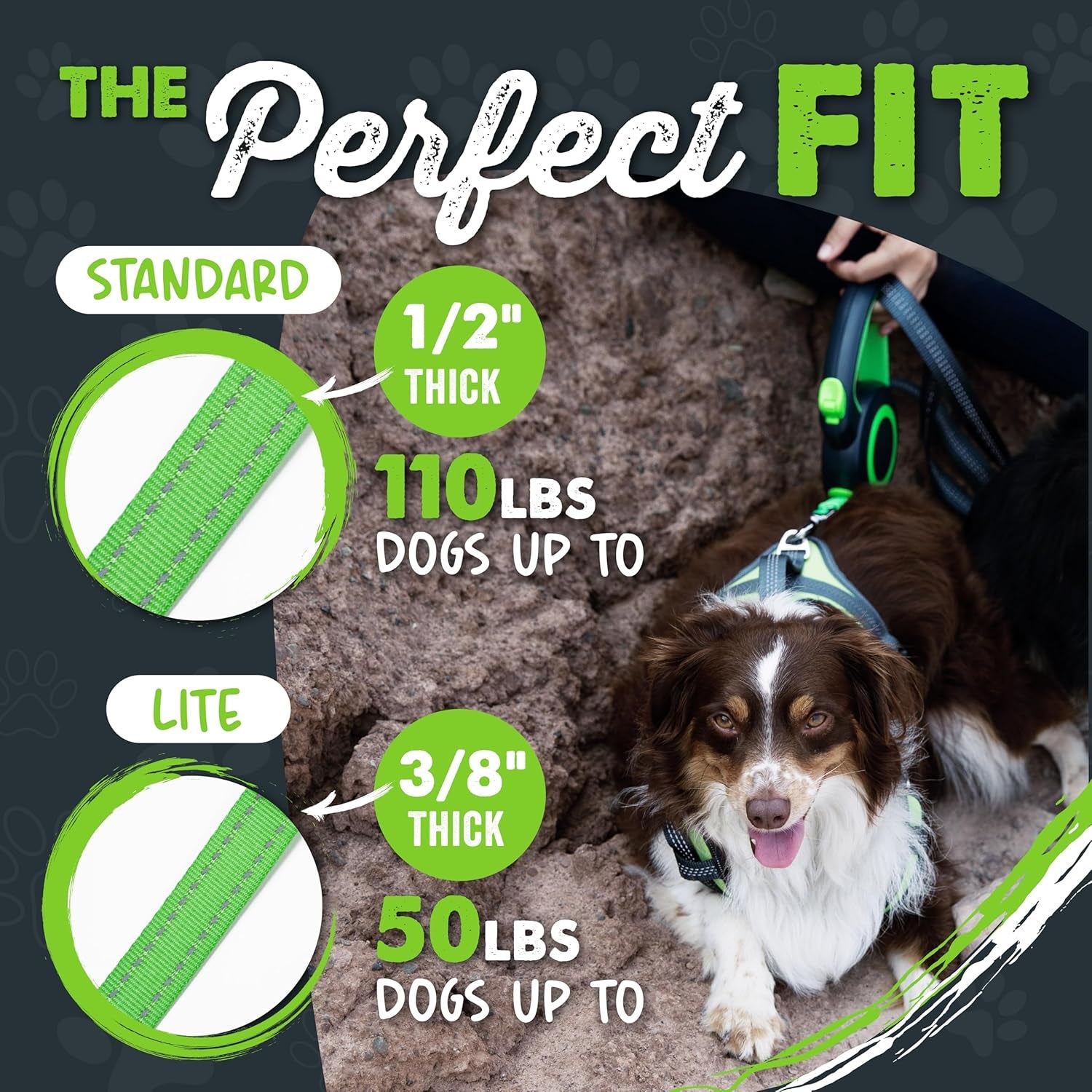 Retractable Dog Leash 2.0 | 16' Heavy Duty Reflective Nylon Tape Lead for Pets up to 0-50 Lbs. Tangle Free Design W/One Touch Quick-Lock Braking System & Anti-Slip Handle (Green/Lite)