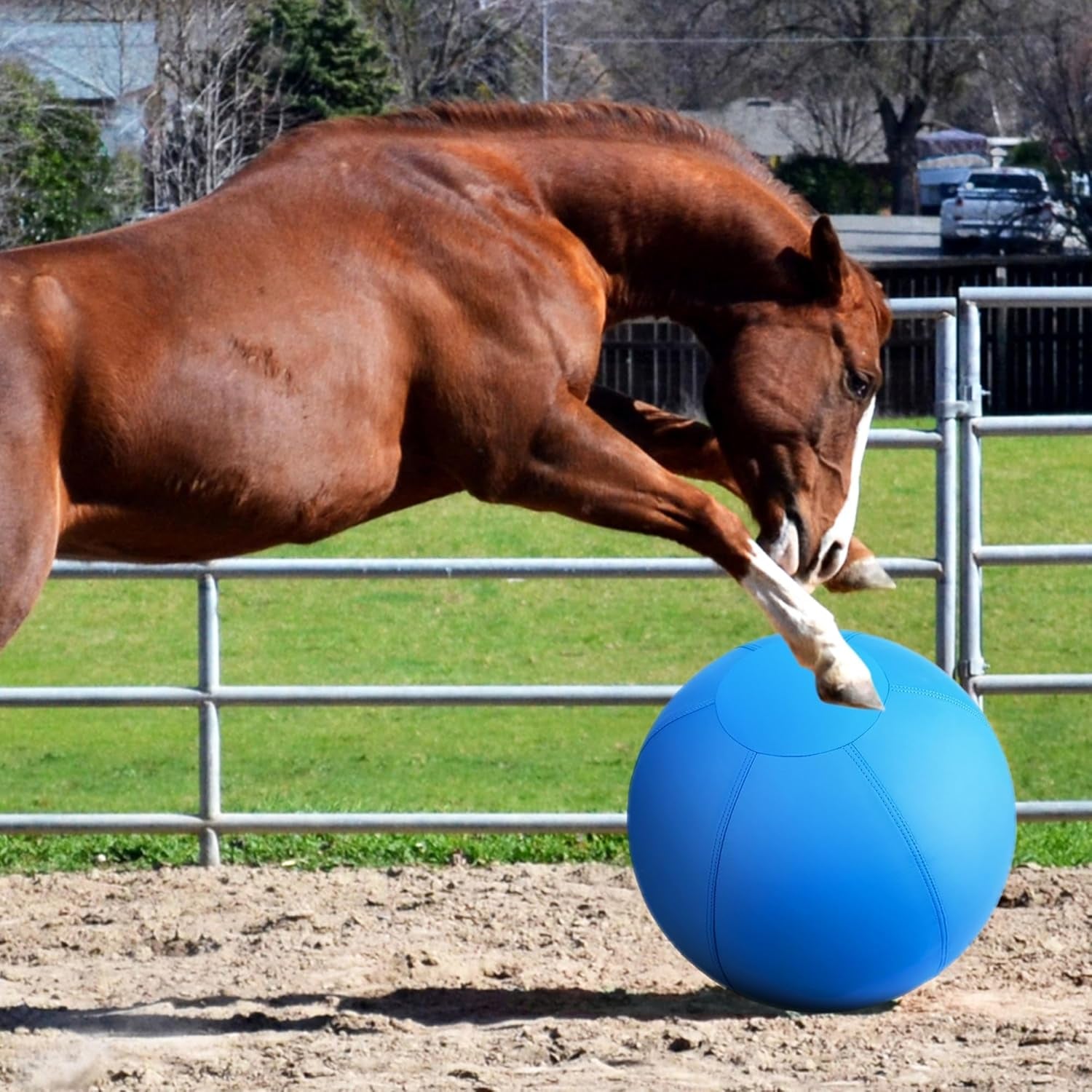 Herding Ball for Dogs and Horses - 18" Jolly Ball for Dogs, Agility Training Equipment, Herding for Australian/German Shepherd, Improved Bite-Resistant, Reinforced Sewing Dog Toys - Blue Medium